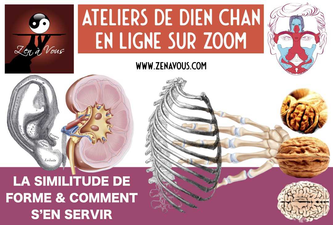 Atelier “La Similitude de Formes et Comment s’en Servir” → RDV Questions/Réponses
