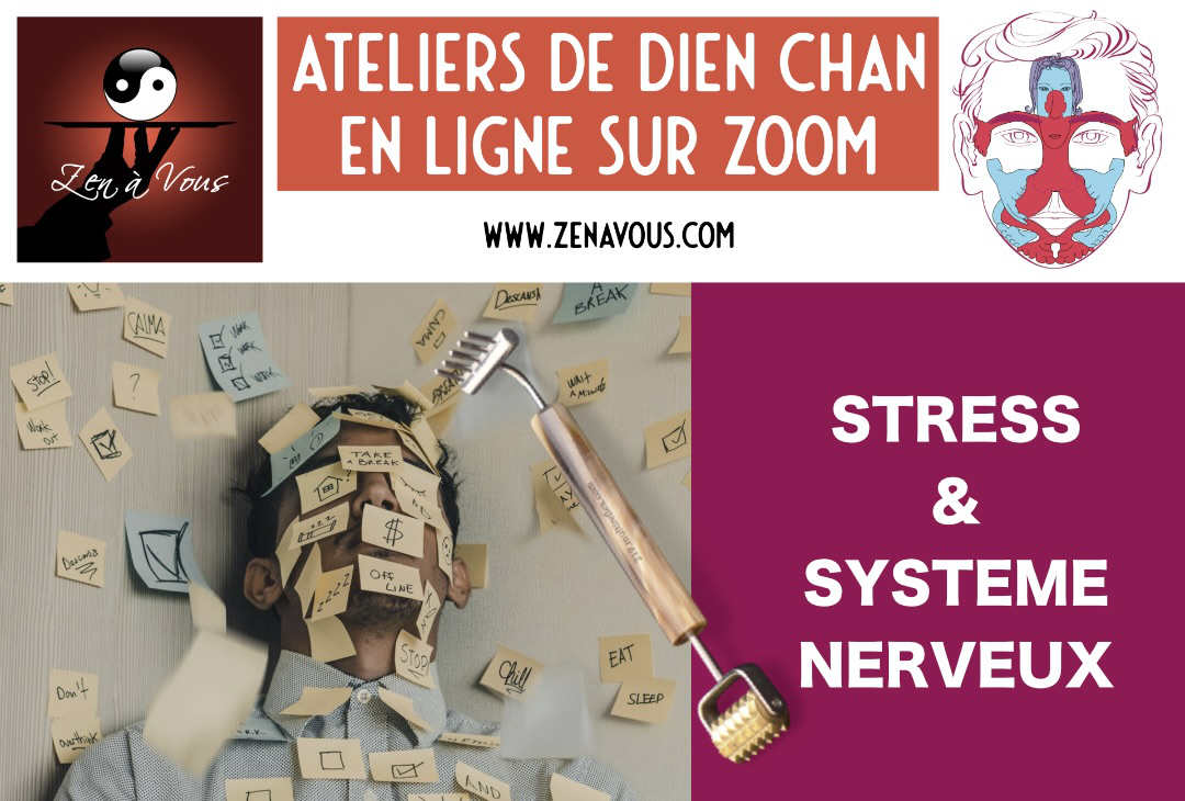 Atelier “Stress et Système Nerveux” → RDV Questions/Réponses