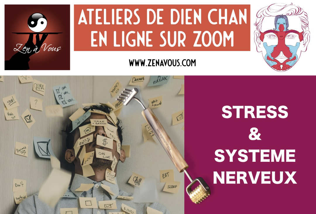 Atelier “Stress et Système Nerveux” → RDV Questions/Réponses