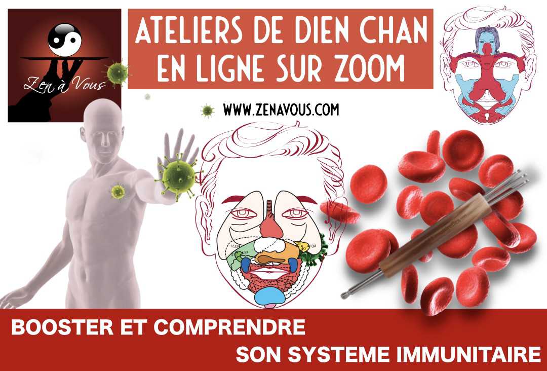 Atelier “Booster et Comprendre son Système Immunitaire” → RDV Questions/Réponses