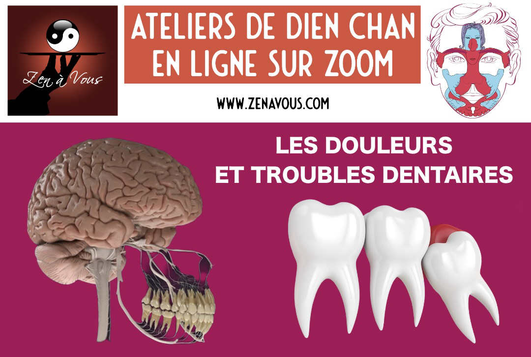 Atelier “Les Douleurs et Troubles Dentaires” → RDV Questions/Réponses