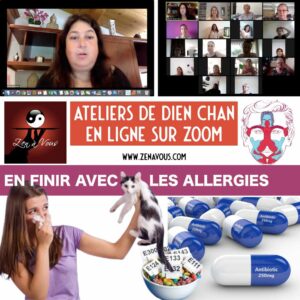 Atelier Zoom 011 « En Finir avec Les Allergies »