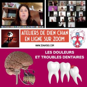 Atelier Zoom 013 « Les Douleurs et troubles dentaires »