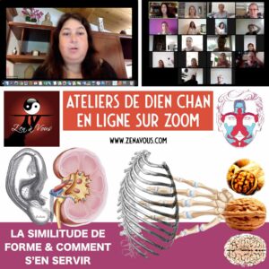 Atelier Zoom 003 « La Similitude de Forme et Comment S’en Servir »