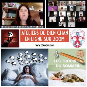 Atelier Zoom 007 « Les Troubles du Sommeil »