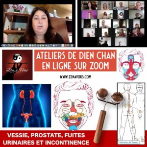 Atelier Zoom 019 « Vessie, Prostate, Fuites Urinaires et Incontinence »
