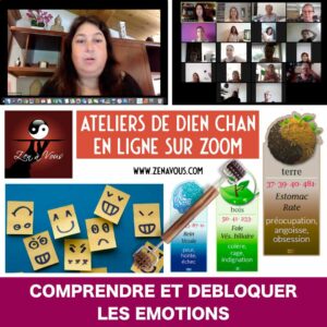 Atelier Zoom 009 « Comprendre et Débloquer les Émotions »