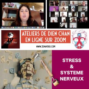 Atelier Zoom 005 « Stress et Système Nerveux »