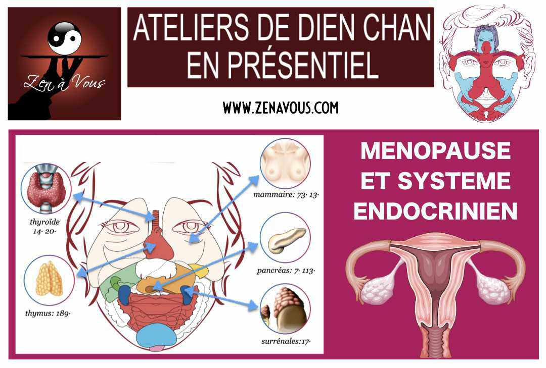 Atelier « Ménopause et système endocrinien »